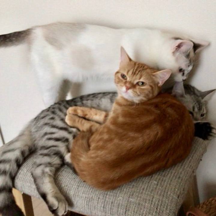 De394ecf c3c7 43e7 88ea 5fd52d872c83