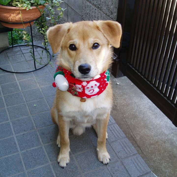 De3a2f4c 25f7 4ba3 a626 a5bafd754564