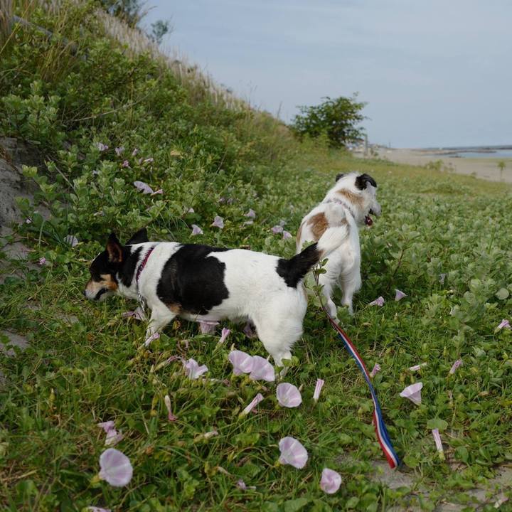 De3a3081 d6cb 4130 aa15 0f27e5b01a69