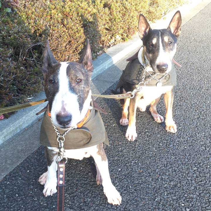 De3a30f9 31f5 48f9 9b2b cf51631c68c7