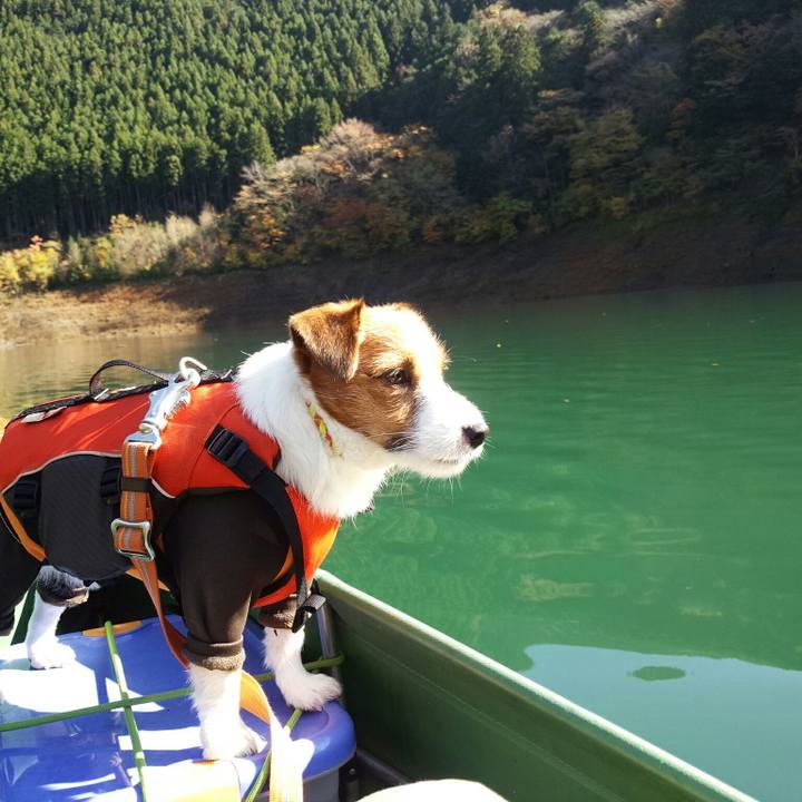 De3aea9e 1f1a 464a aaf6 bb9b0ae74f21