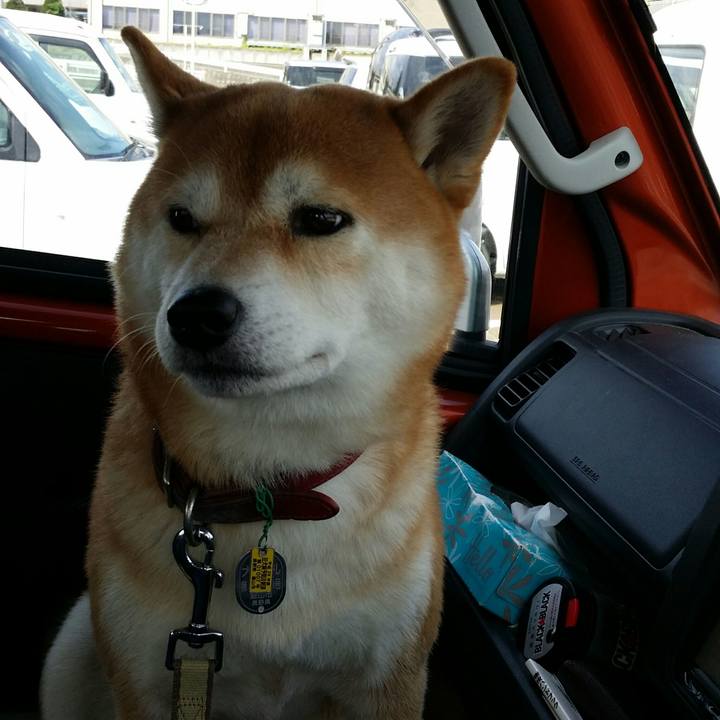 De3af6a3 4958 4e22 8b89 aa312d6ee7ea