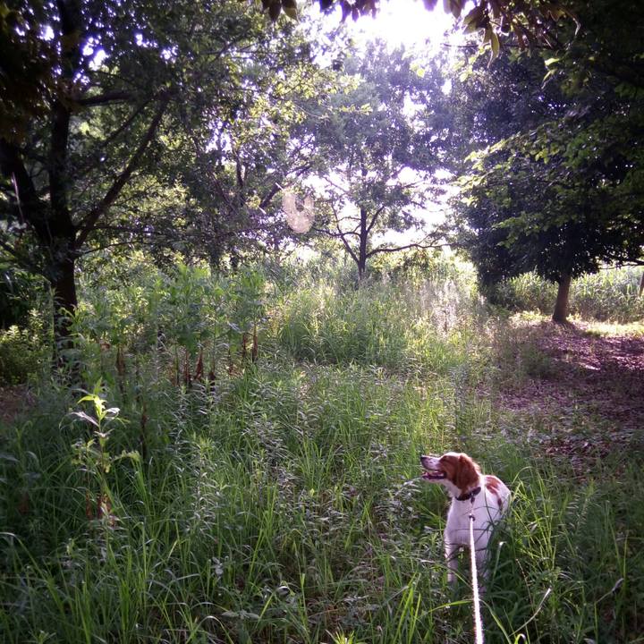 De3b3fd4 af97 4263 8a4b 5c07c311b266