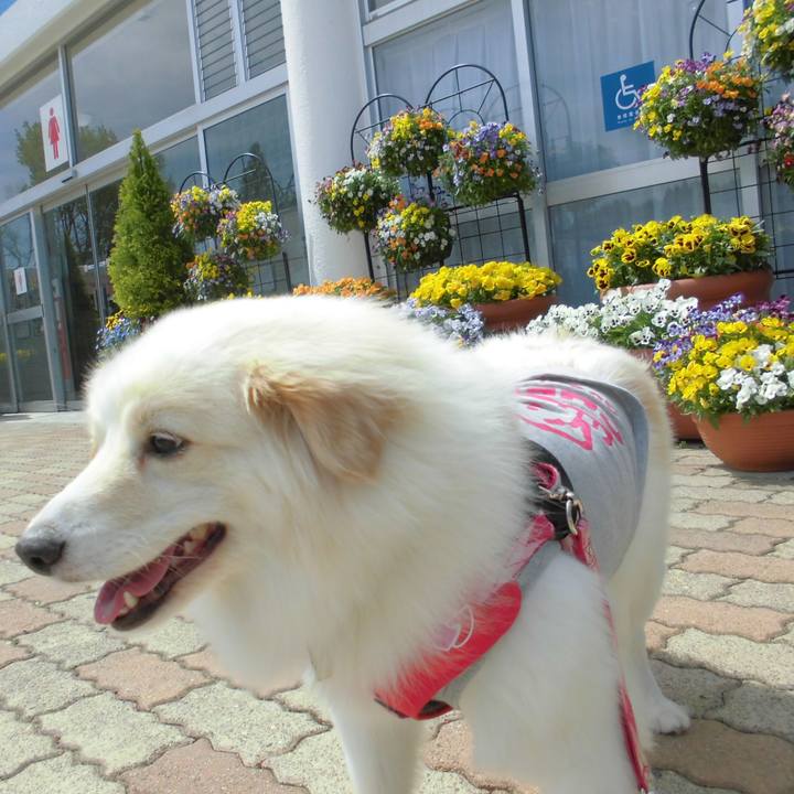 De3bb722 40f5 4188 80e8 11b4ec5eff0a