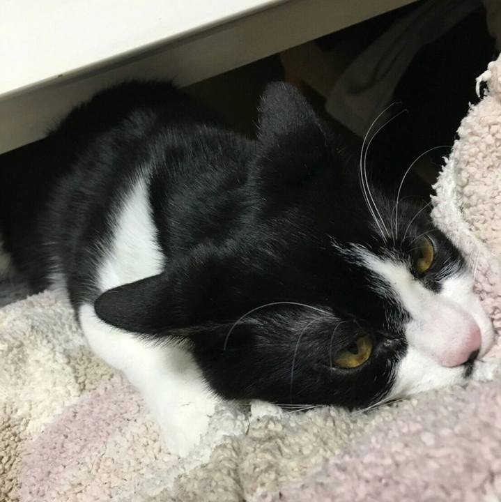 De3be929 0bbf 4e60 8df4 a5ee8236c090