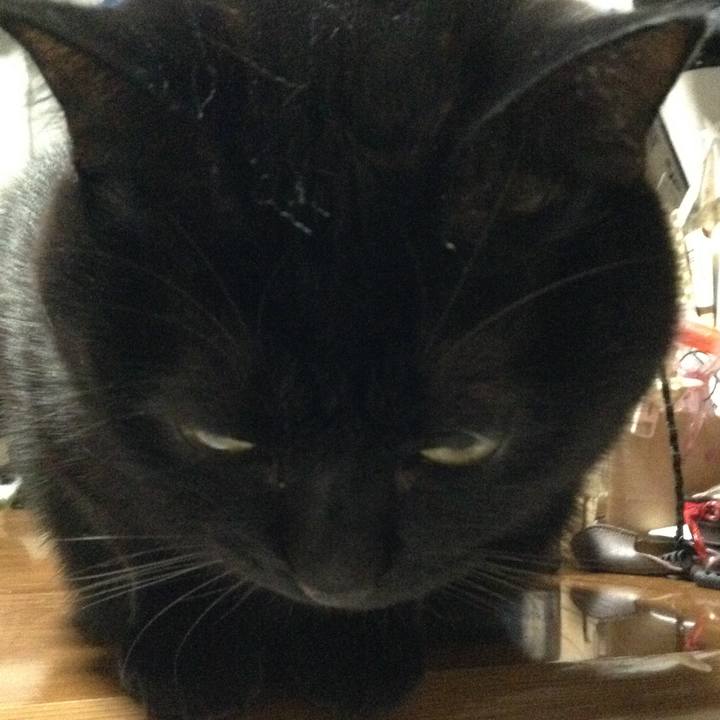 De3c38f8 3329 4007 a640 3e53707f70a8