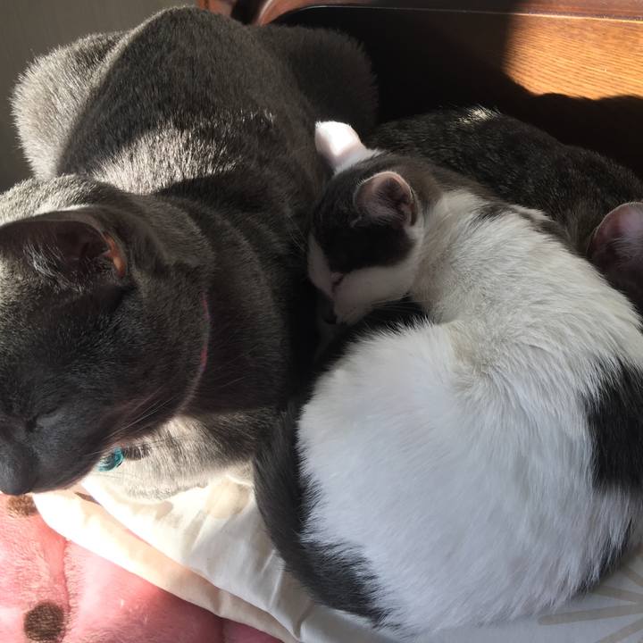 De3c9467 8b18 4ab4 82fb 3de80bcd6c4c