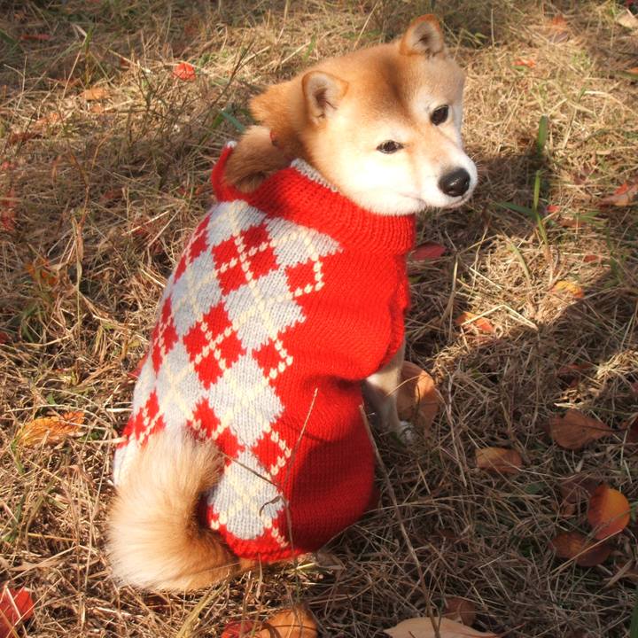 De3c961e 65b7 4853 acca a92c70543ff8