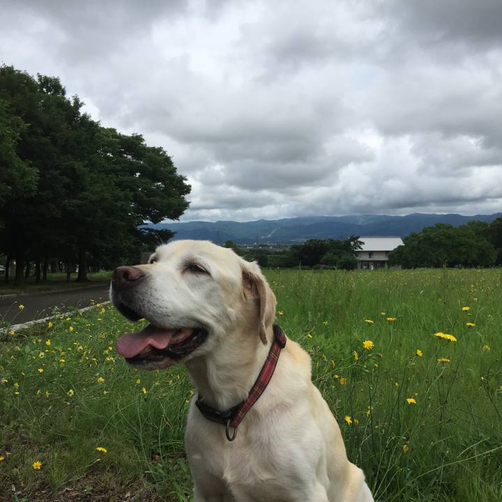 De3d0511 c089 40ac a339 cfd2a3a6f72e