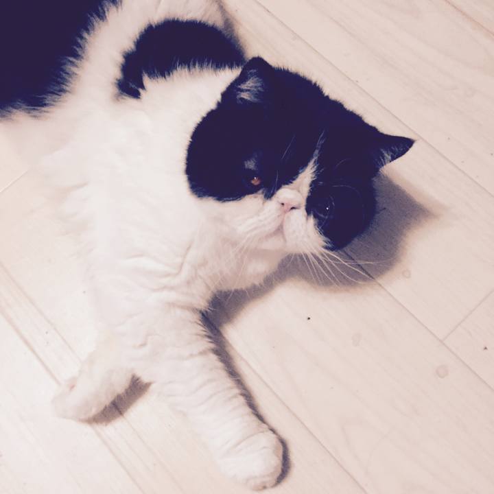 De3d39ef 96ad 469f aff8 d9d04ba19bb4