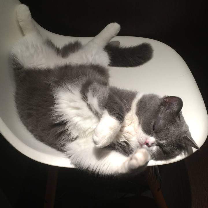 De3d5e06 374f 43e2 b737 a93fe794077d