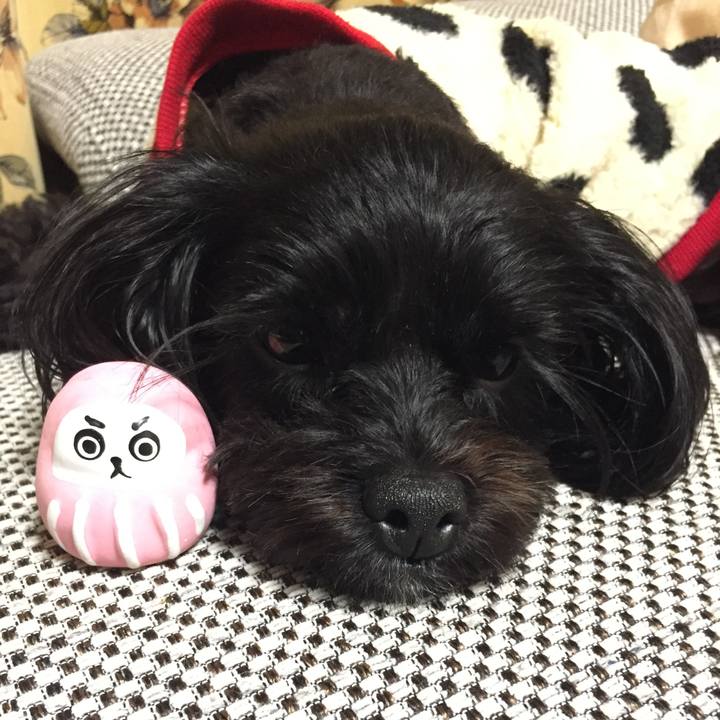 De3debf8 cbfc 4010 b665 687c814bae88