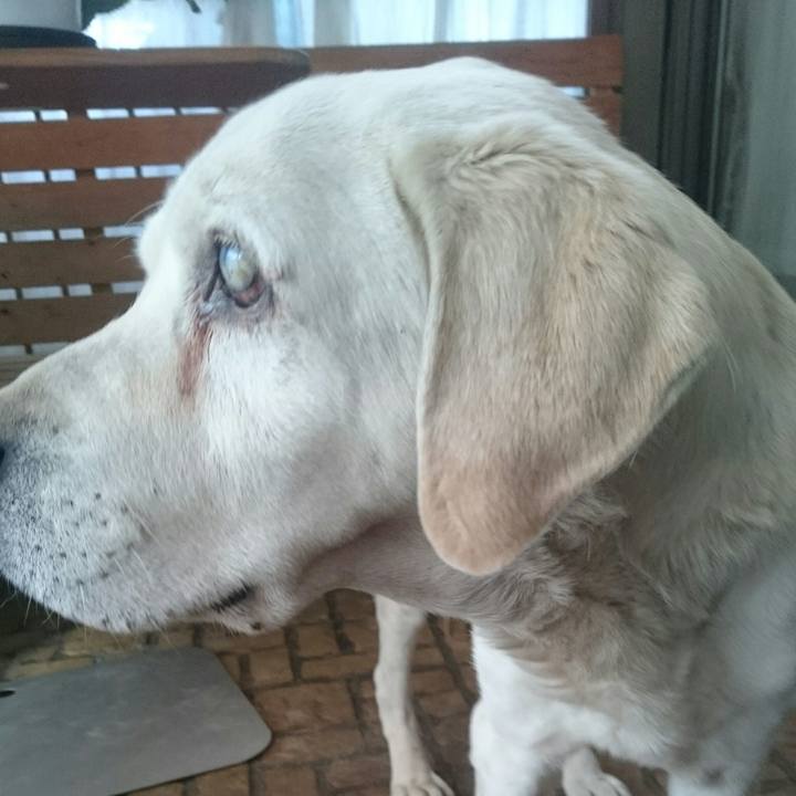 De3e4f37 9e43 4371 b950 5089e1a21f30