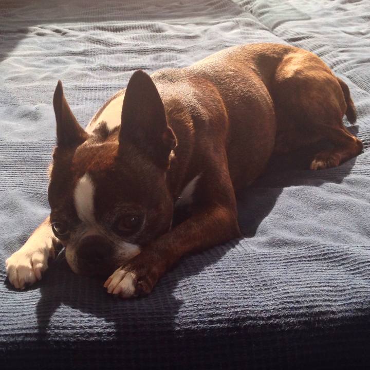 De3e5b3d 71e5 4475 8094 c006fcc2ff80