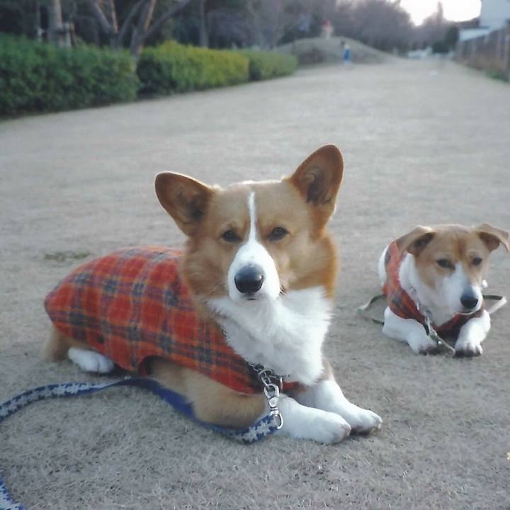 De3e77bc b7ae 4532 a419 da50a79c588e