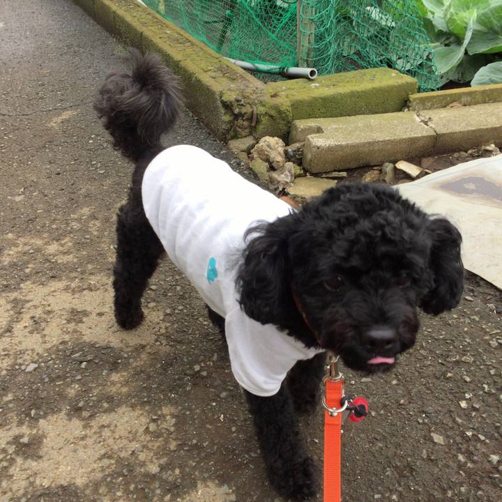 De3ec102 1dc1 4da6 9a0b c7b392855b50