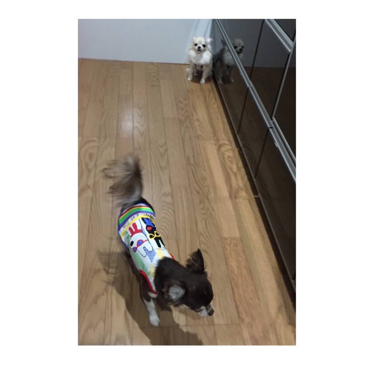 De3ef5f5 81fc 4b58 bd56 367f1b498cfc