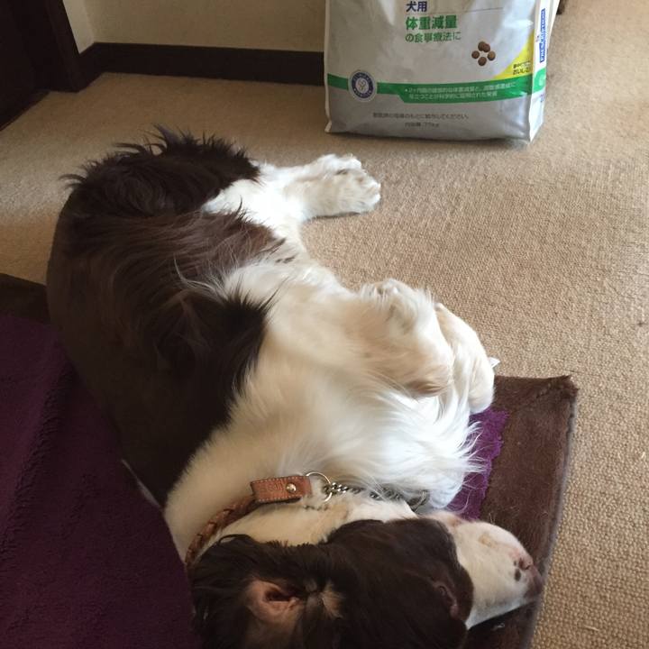 De3f5b39 565c 492d 8f86 bb665a7a8c1f