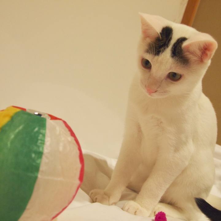 De402a21 b772 407b 984b b047ad4cb0f7