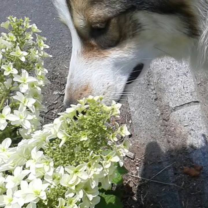 De40bcb0 544b 407e a0a1 113310c69652