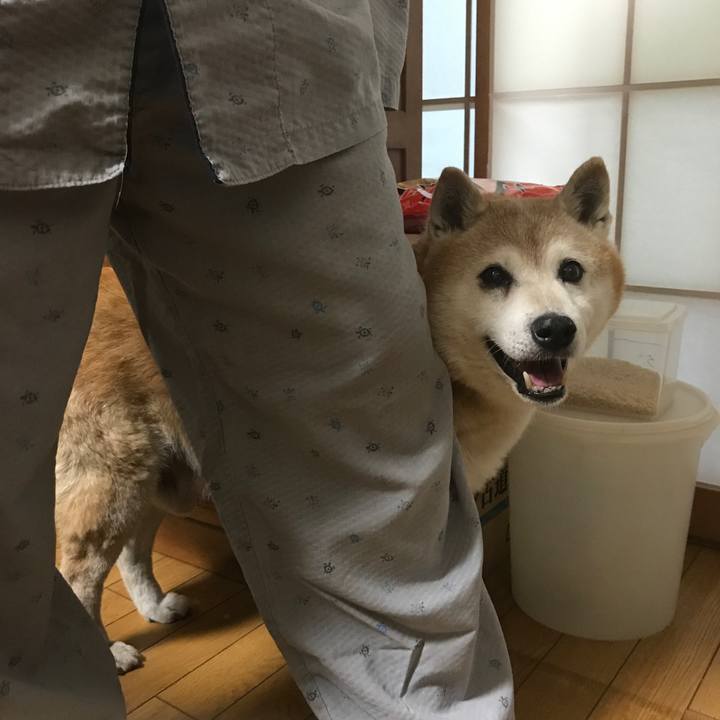 De40cc6e b13f 496e 85f4 efd99a6aa2df