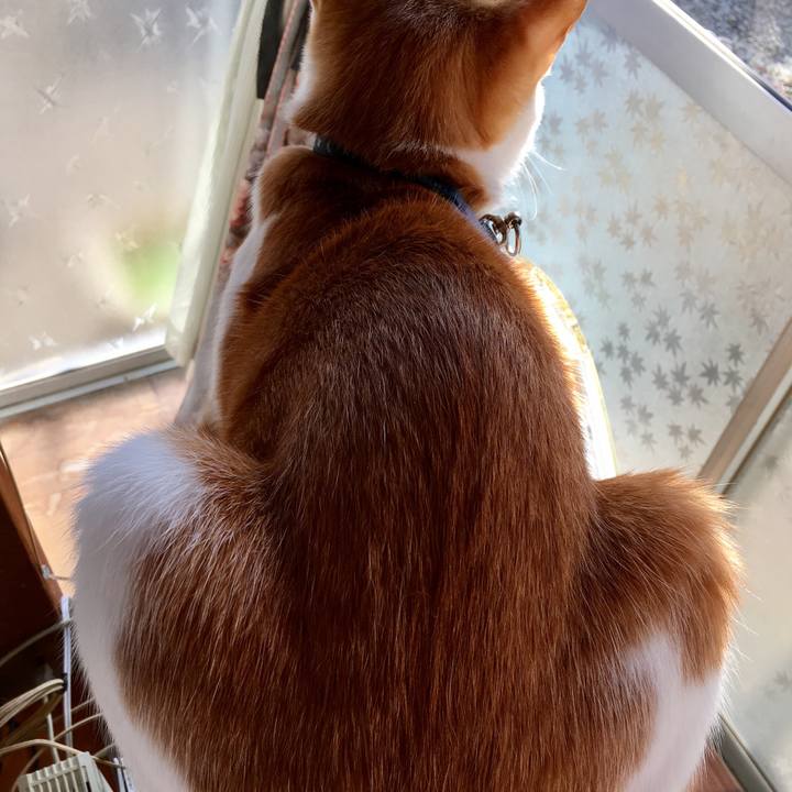 De40d32b b776 425d 8513 4f5266bf5144