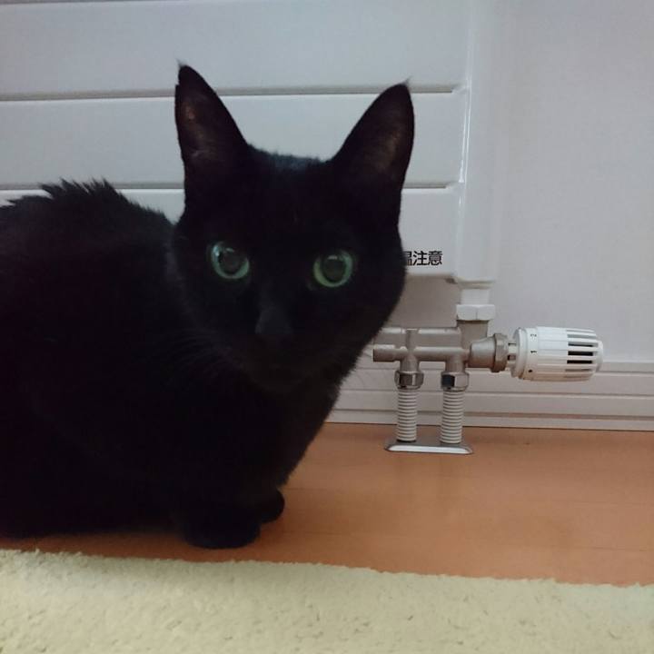 De42b1c0 533d 47e1 b0fa 448812ac39f9