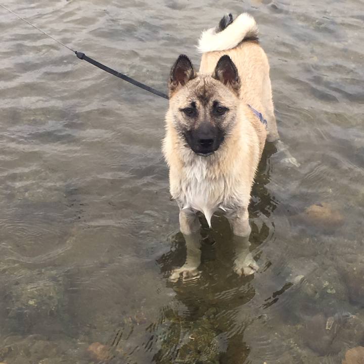 De4332cc eb7f 4b0d b06c 13901cc415bb