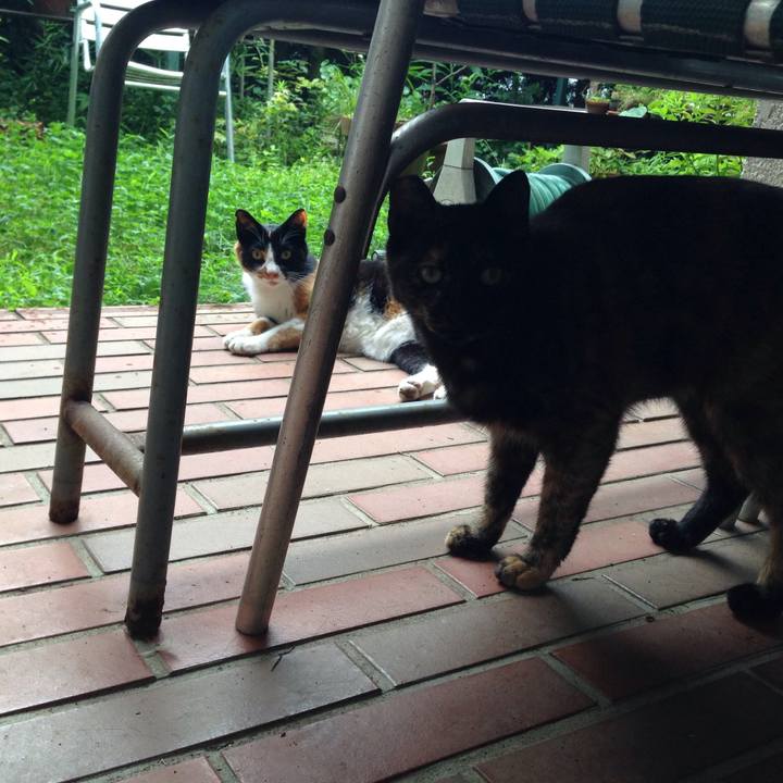 De4383db 9b85 440c 80cd 05a0898c7ed8