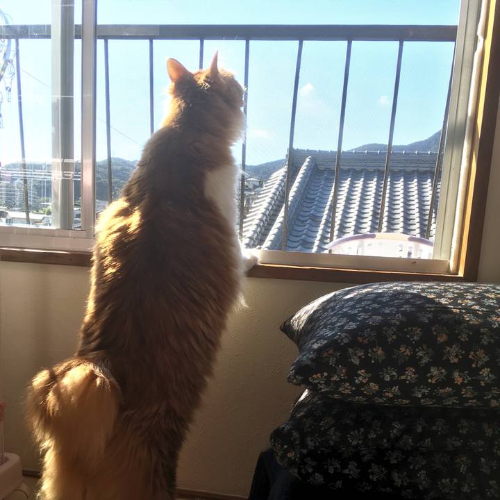 De446f85 68bd 4e99 8045 78e74d326234