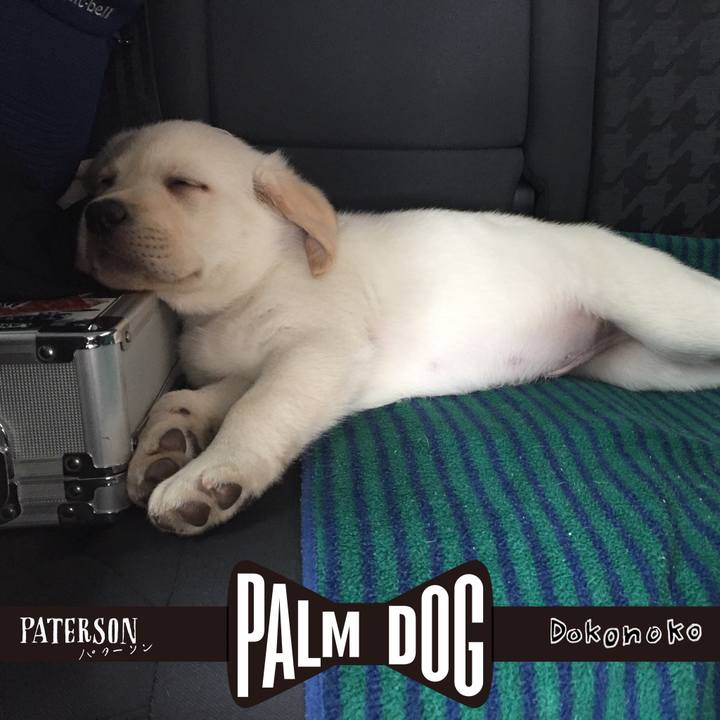 De451d13 4fd0 4615 90ed 1b84511d072f