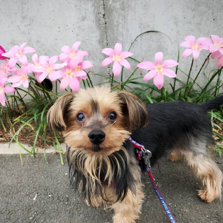 De466da6 cae4 487b aaa3 8627ca8cc06c