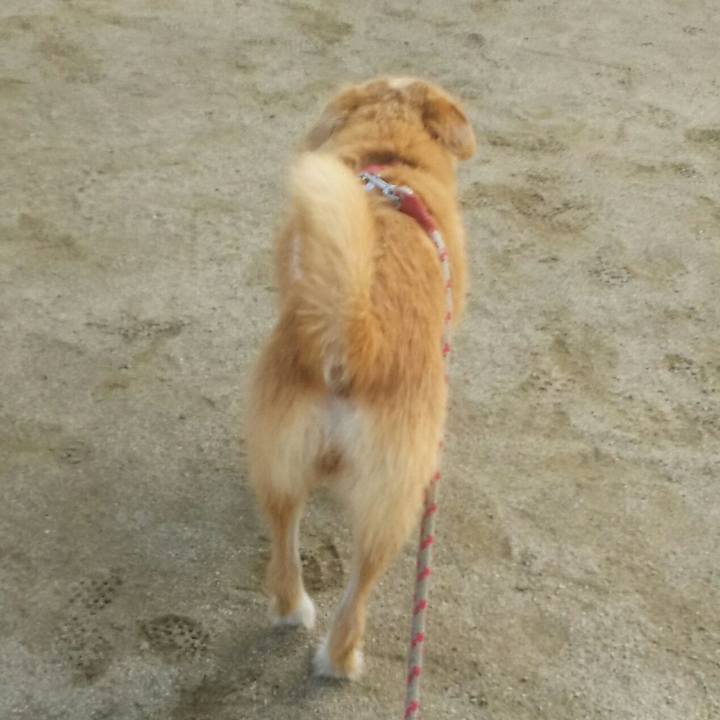 De466dd5 c771 4b99 af7c b7560925c29e