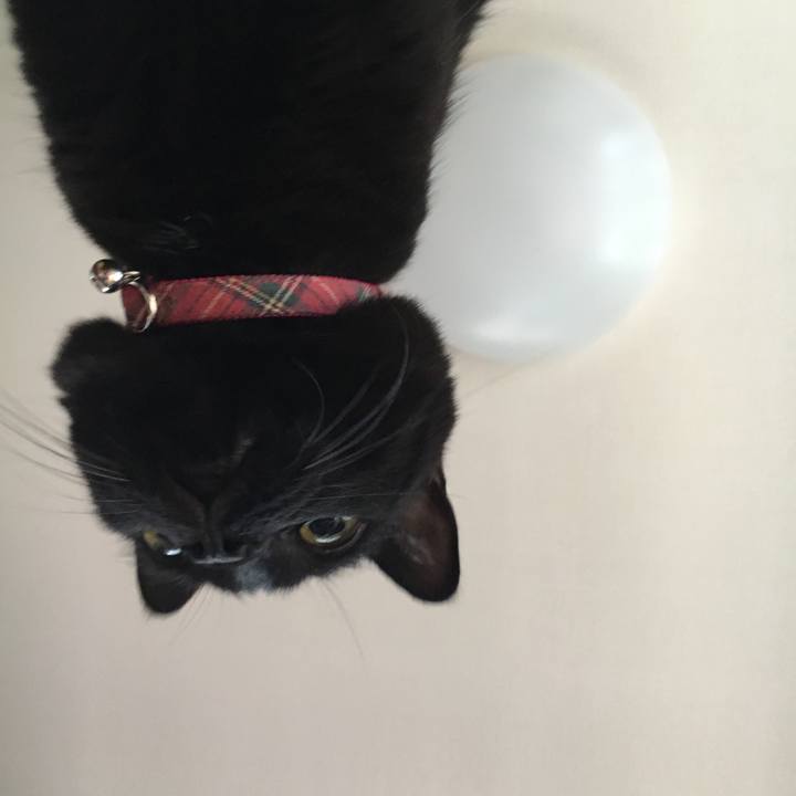 De474b2e 4f54 450a 8d1e 2dd8d32da52e