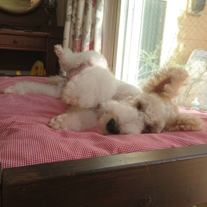 De482b36 568c 464b 8449 814a7a6b2e8d