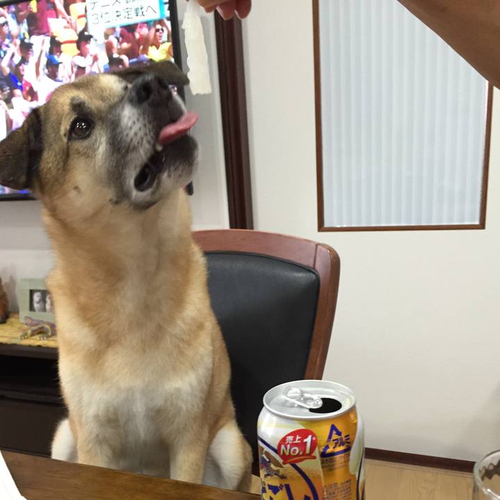 De4883ba b02f 4517 b0eb 5d587b26423b