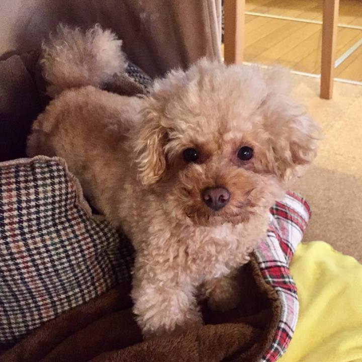 De490e3a bad2 40c2 95eb 2e4f4b142122