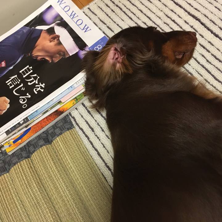 De491b6b 23f3 4493 a4c5 b02d3a7da001