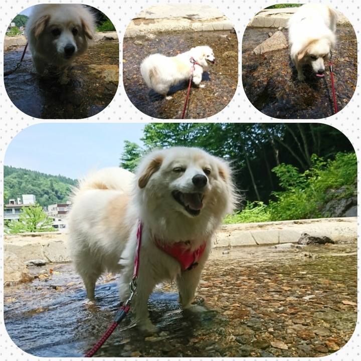 De49618f 6cef 4ac8 a235 c12f4a7efb04