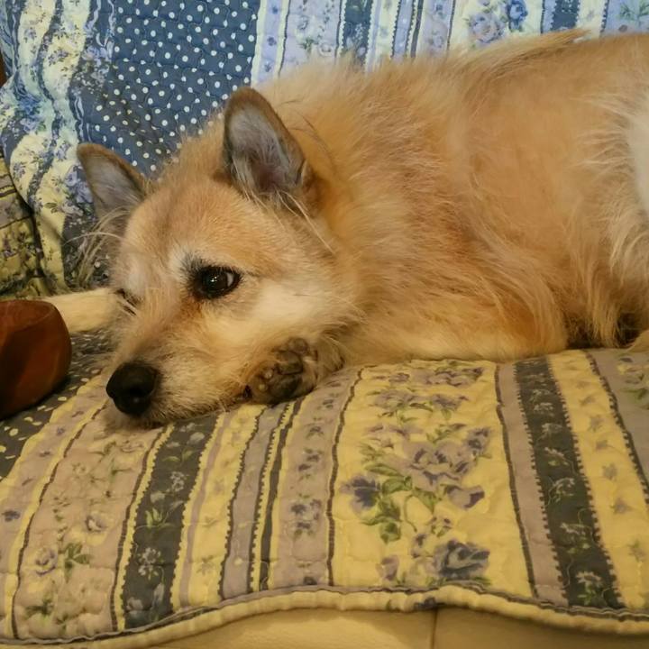 De4981d3 8662 4b95 8778 c377da348e78