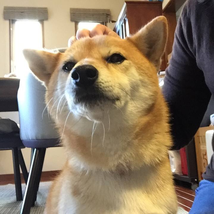 De4a849b a352 46aa b1e8 5b6d1dbff386