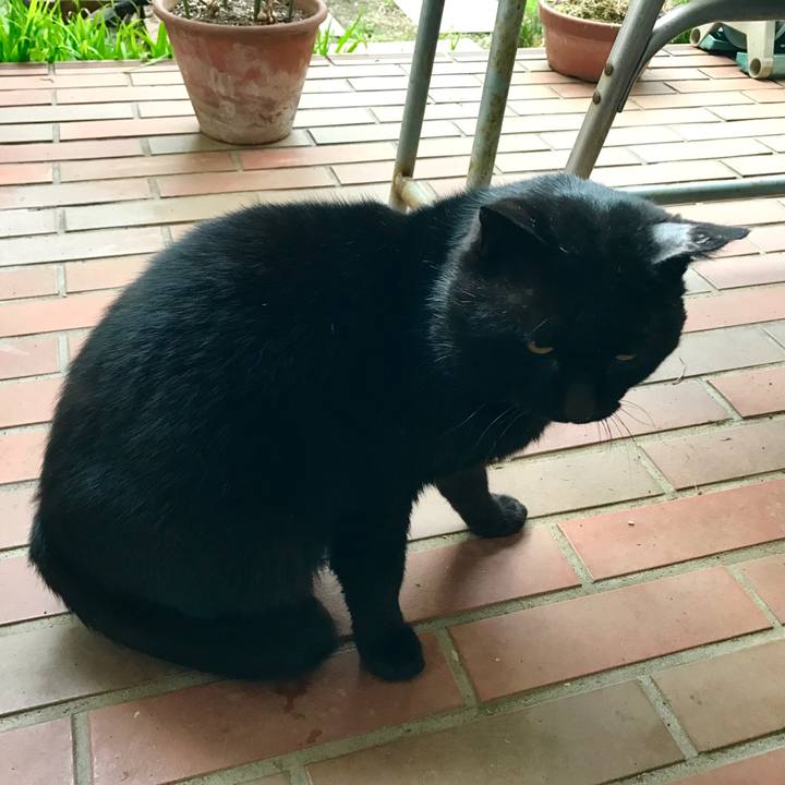 De4ad206 2b75 41f1 aca4 a3e0674c0528