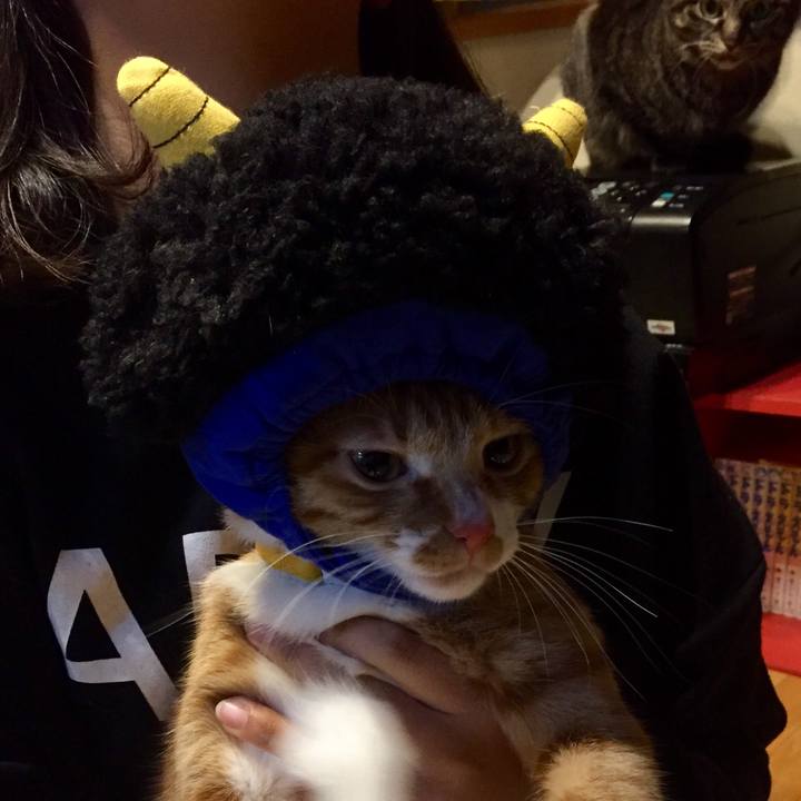 De4af240 3c53 4ae9 bb80 3a7813b13b5f