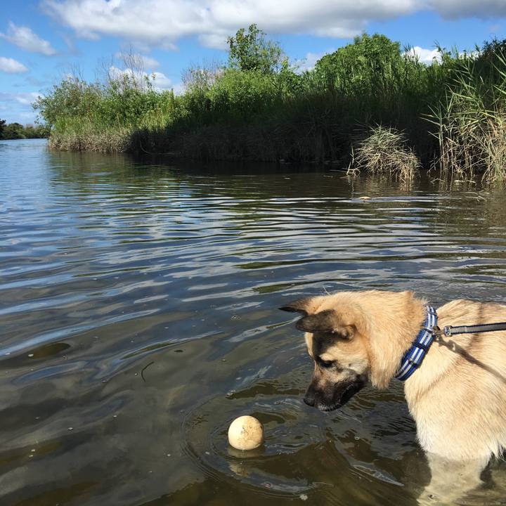 De4b3852 1de2 4fdb b2bd 5836d5bdaecf