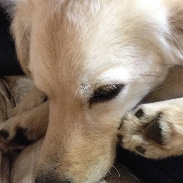 De4bc534 c218 449d bd3e 5201fca4da32