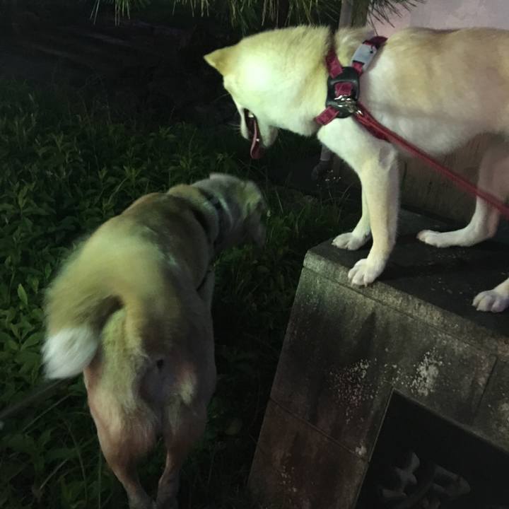 De4bc8c8 7ed1 424c 8a28 2978aa89d08f