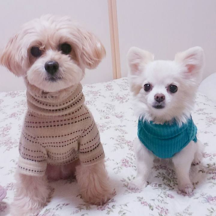 De4c5eef e6f8 4517 836d ace8572d56b4