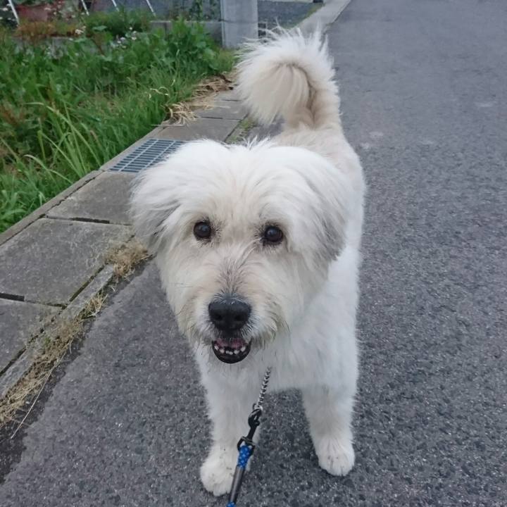 De4d7b0b 9726 4497 8d20 85af3a147955