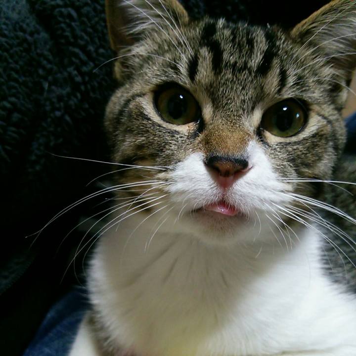 De4da245 59de 4357 b3db 9e2ed794e287