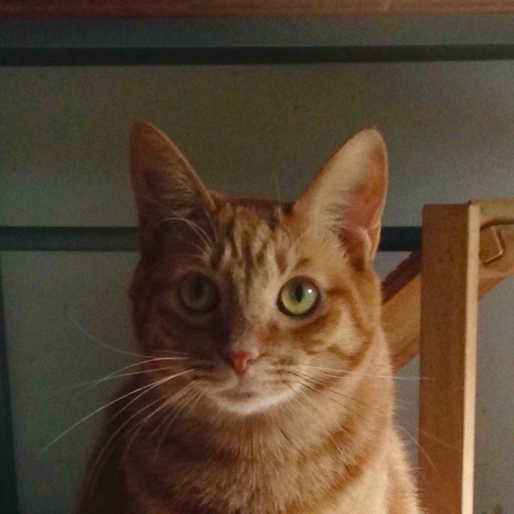 De4dafb4 d4e6 4267 9fc0 dbc9efac2a97